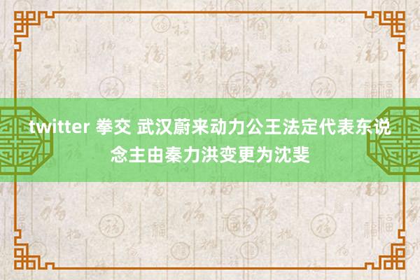 twitter 拳交 武汉蔚来动力公王法定代表东说念主由秦力洪变更为沈斐