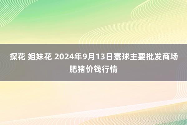 探花 姐妹花 2024年9月13日寰球主要批发商场肥猪价钱行情