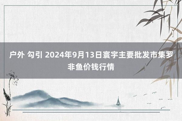 户外 勾引 2024年9月13日寰宇主要批发市集罗非鱼价钱行情