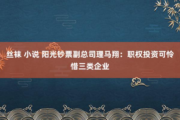 丝袜 小说 阳光钞票副总司理马翔：职权投资可怜惜三类企业