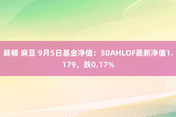 蘇暢 麻豆 9月5日基金净值：50AHLOF最新净值1.179，跌0.17%