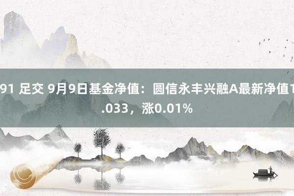 91 足交 9月9日基金净值：圆信永丰兴融A最新净值1.033，涨0.01%