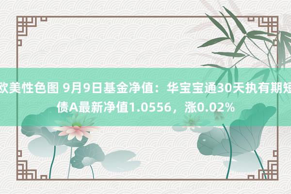 欧美性色图 9月9日基金净值：华宝宝通30天执有期短债A最新净值1.0556，涨0.02%