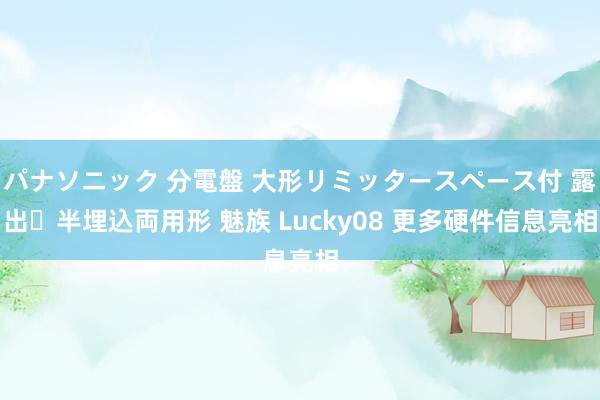 パナソニック 分電盤 大形リミッタースペース付 露出・半埋込両用形 魅族 Lucky08 更多硬件信息亮相