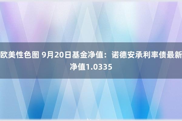 欧美性色图 9月20日基金净值：诺德安承利率债最新净值1.0335