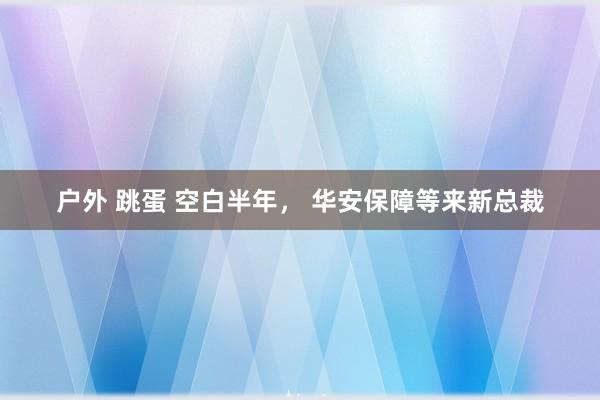 户外 跳蛋 空白半年， 华安保障等来新总裁