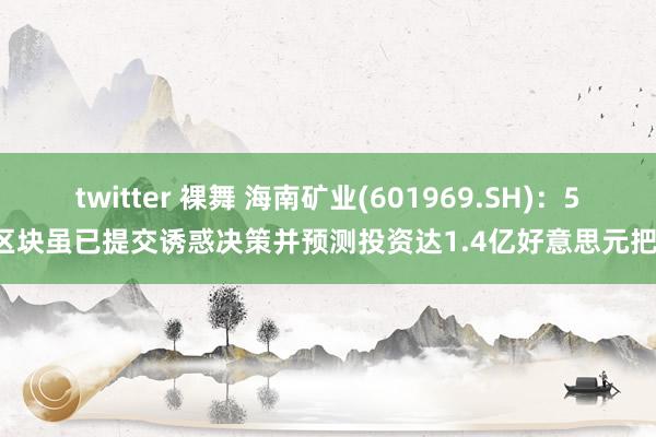 twitter 裸舞 海南矿业(601969.SH)：56区块虽已提交诱惑决策并预测投资达1.4亿好意思元把握