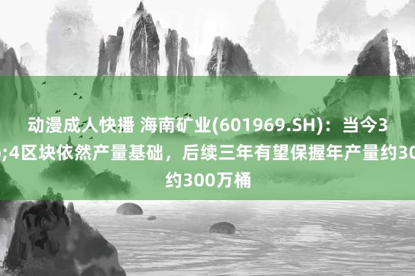 动漫成人快播 海南矿业(601969.SH)：当今3&4区块依然产量基础，后续三年有望保握年产量约300万桶