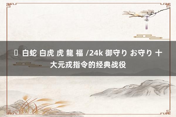 ✨白蛇 白虎 虎 龍 福 /24k 御守り お守り 十大元戎指令的经典战役