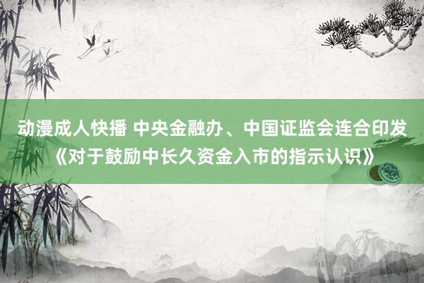 动漫成人快播 中央金融办、中国证监会连合印发《对于鼓励中长久资金入市的指示认识》