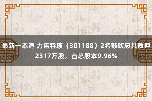 最新一本道 力诺特玻（301188）2名鼓吹总共质押2317万股，占总股本9.96%