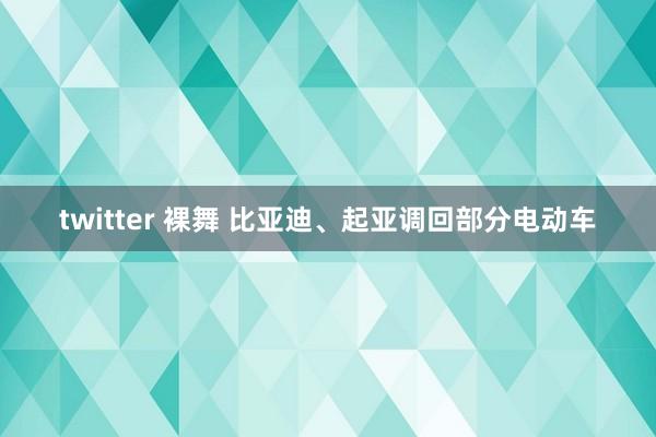 twitter 裸舞 比亚迪、起亚调回部分电动车