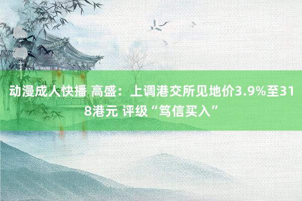 动漫成人快播 高盛：上调港交所见地价3.9%至318港元 评级“笃信买入”