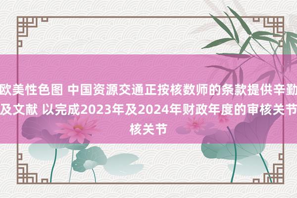 欧美性色图 中国资源交通正按核数师的条款提供辛勤及文献 以完成2023年及2024年财政年度的审核关节