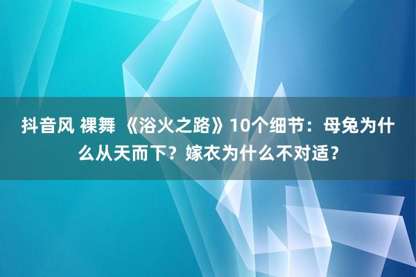 抖音风 裸舞 《浴火之路》10个细节：母兔为什么从天而下？嫁衣为什么不对适？