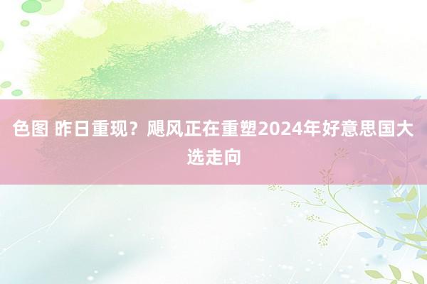 色图 昨日重现？飓风正在重塑2024年好意思国大选走向