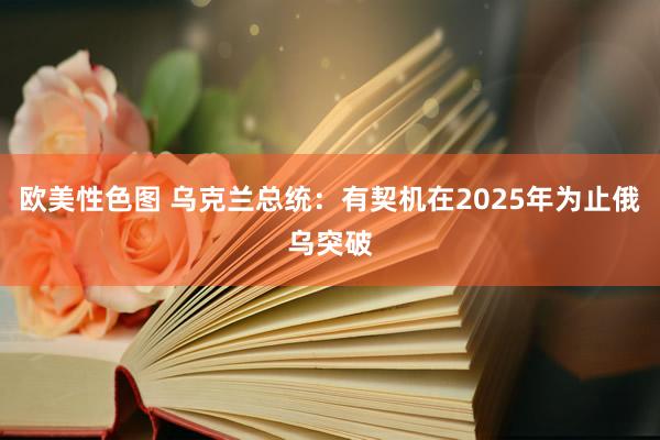 欧美性色图 乌克兰总统：有契机在2025年为止俄乌突破