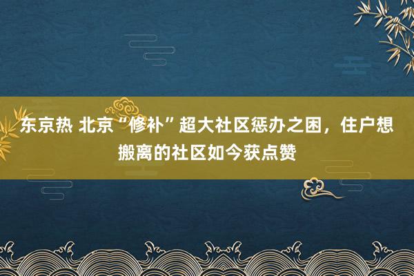 东京热 北京“修补”超大社区惩办之困，住户想搬离的社区如今获点赞