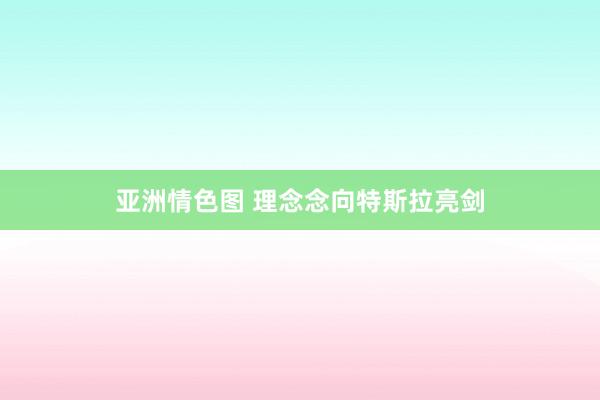 亚洲情色图 理念念向特斯拉亮剑