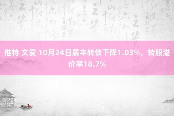 推特 文爱 10月24日晨丰转债下降1.03%，转股溢价率18.7%