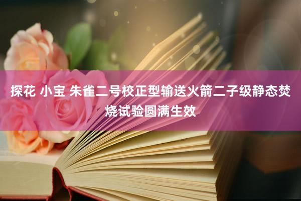 探花 小宝 朱雀二号校正型输送火箭二子级静态焚烧试验圆满生效