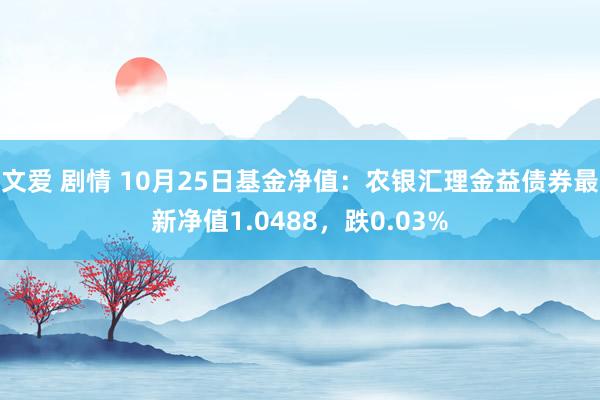 文爱 剧情 10月25日基金净值：农银汇理金益债券最新净值1.0488，跌0.03%