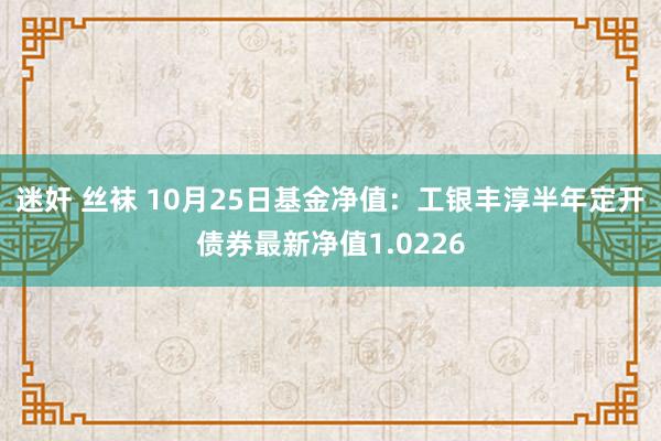 迷奸 丝袜 10月25日基金净值：工银丰淳半年定开债券最新净值1.0226