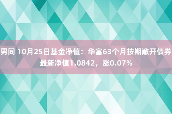 男同 10月25日基金净值：华富63个月按期敞开债券最新净值1.0842，涨0.07%