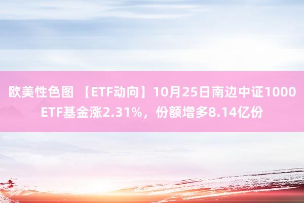 欧美性色图 【ETF动向】10月25日南边中证1000ETF基金涨2.31%，份额增多8.14亿份