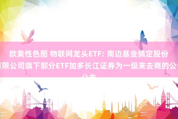 欧美性色图 物联网龙头ETF: 南边基金搞定股份有限公司旗下部分ETF加多长江证券为一级来去商的公告