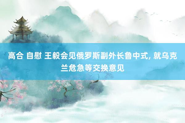 高合 自慰 王毅会见俄罗斯副外长鲁中式， 就乌克兰危急等交换意见