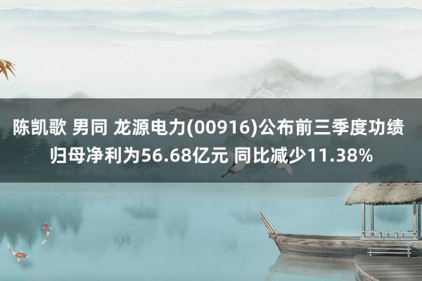 陈凯歌 男同 龙源电力(00916)公布前三季度功绩 归母净利为56.68亿元 同比减少11.38%