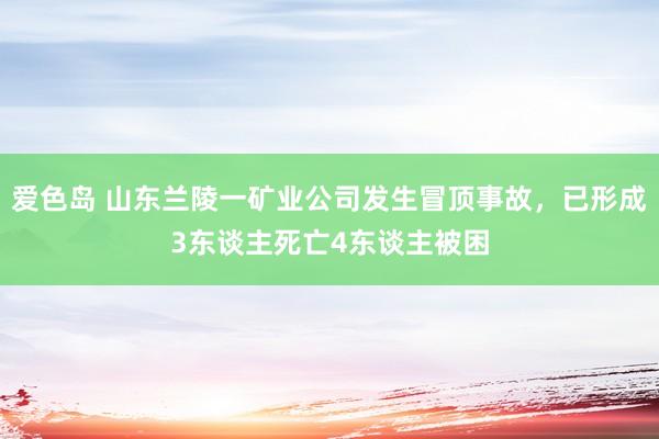 爱色岛 山东兰陵一矿业公司发生冒顶事故，已形成3东谈主死亡4东谈主被困