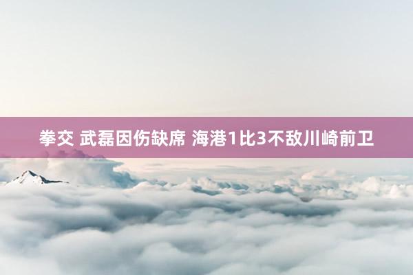 拳交 武磊因伤缺席 海港1比3不敌川崎前卫