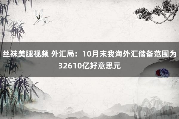 丝袜美腿视频 外汇局：10月末我海外汇储备范围为32610亿好意思元