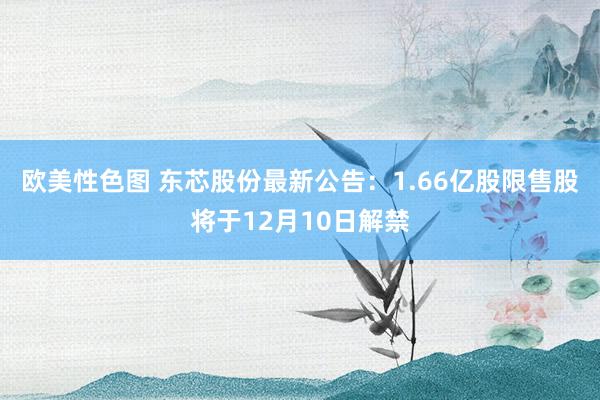 欧美性色图 东芯股份最新公告：1.66亿股限售股将于12月10日解禁