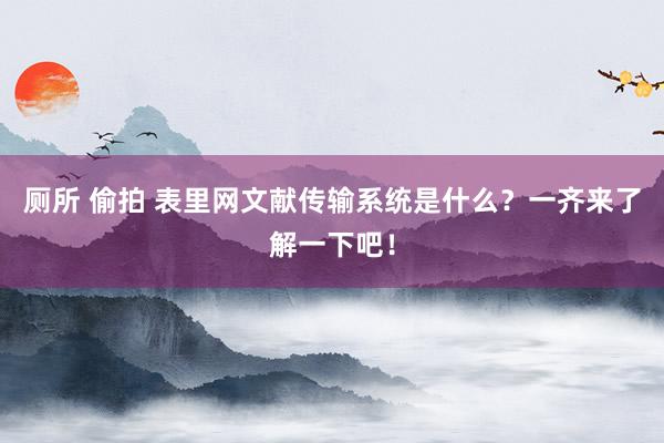 厕所 偷拍 表里网文献传输系统是什么？一齐来了解一下吧！