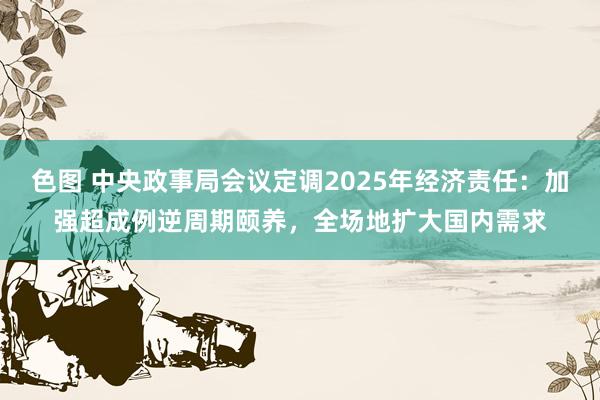 色图 中央政事局会议定调2025年经济责任：加强超成例逆周期颐养，全场地扩大国内需求