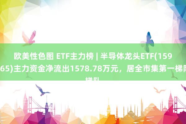 欧美性色图 ETF主力榜 | 半导体龙头ETF(159665)主力资金净流出1578.78万元，居全市集第一梯队