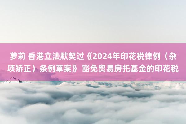 萝莉 香港立法默契过《2024年印花税律例（杂项矫正）条例草案》 豁免贸易房托基金的印花税