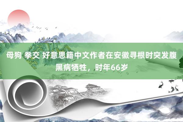 母狗 拳交 好意思籍中文作者在安徽寻根时突发腹黑病牺牲，时年66岁