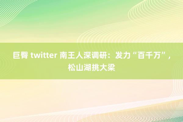 巨臀 twitter 南王人深调研：发力“百千万”，松山湖挑大梁