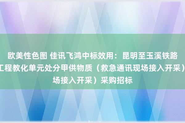 欧美性色图 佳讯飞鸿中标效用：昆明至玉溪铁路扩能创新工程教化单元处分甲供物质（救急通讯现场接入开采）采购招标