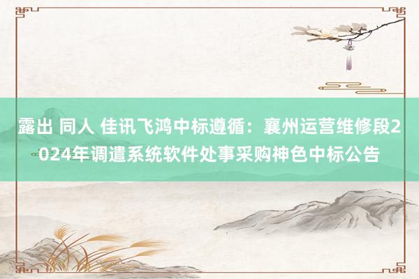 露出 同人 佳讯飞鸿中标遵循：襄州运营维修段2024年调遣系统软件处事采购神色中标公告