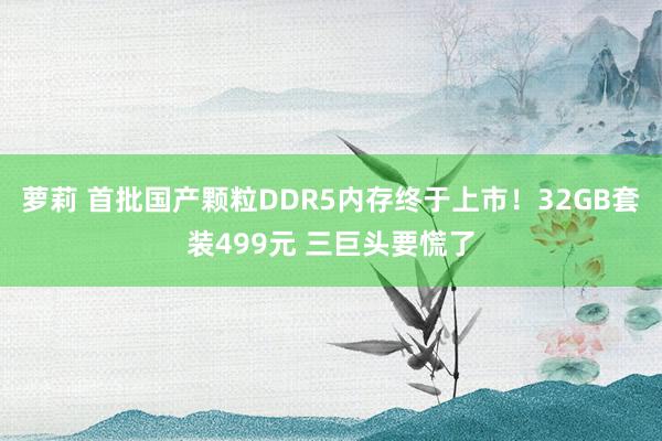 萝莉 首批国产颗粒DDR5内存终于上市！32GB套装499元 三巨头要慌了