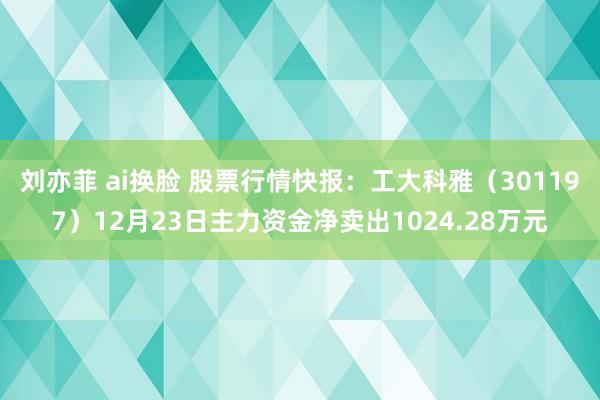 刘亦菲 ai换脸 股票行情快报：工大科雅（301197）12月23日主力资金净卖出1024.28万元