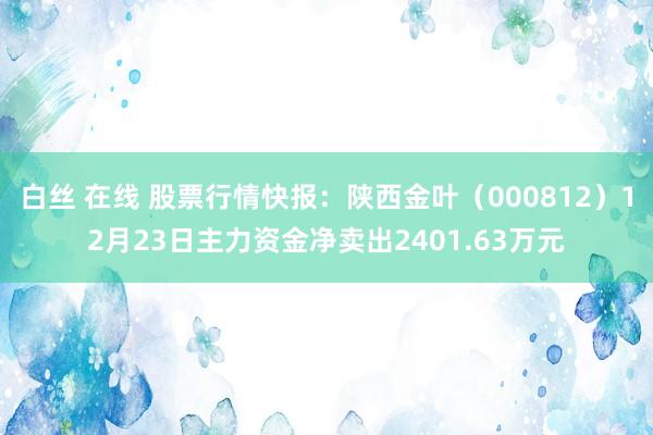 白丝 在线 股票行情快报：陕西金叶（000812）12月23日主力资金净卖出2401.63万元