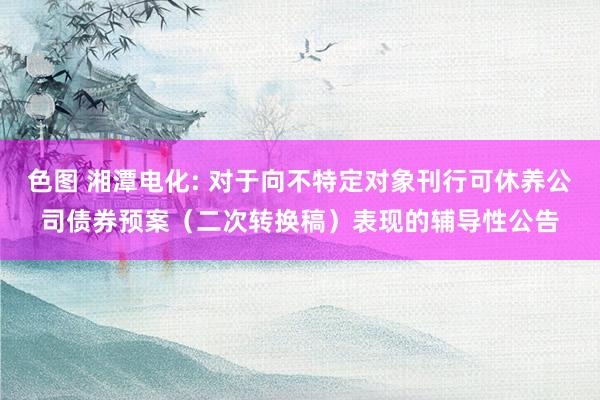 色图 湘潭电化: 对于向不特定对象刊行可休养公司债券预案（二次转换稿）表现的辅导性公告