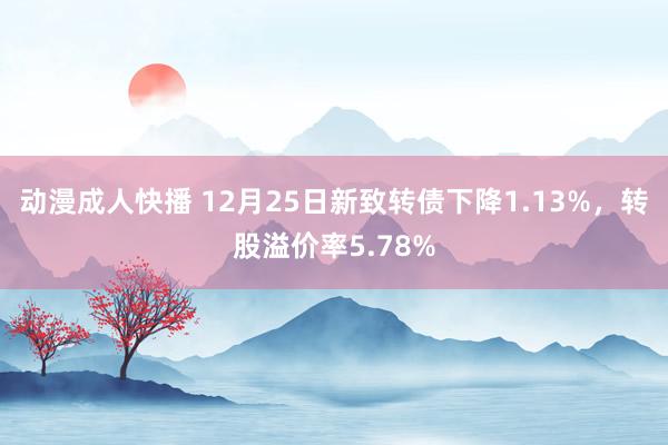 动漫成人快播 12月25日新致转债下降1.13%，转股溢价率5.78%