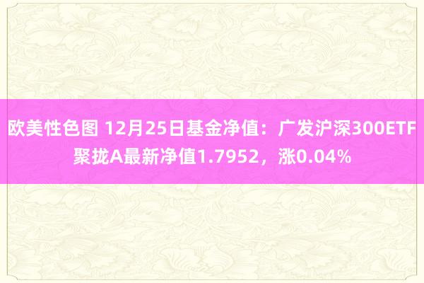 欧美性色图 12月25日基金净值：广发沪深300ETF聚拢A最新净值1.7952，涨0.04%